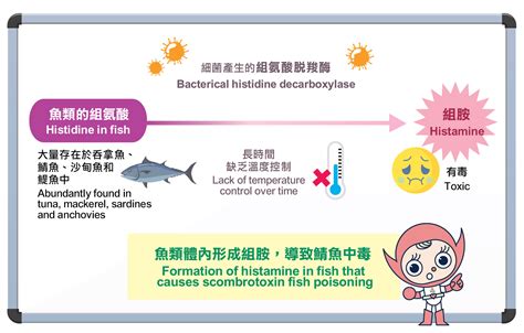 Scombrotoxin Fish Poisoning