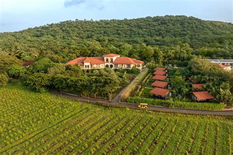 Sula Vineyards charts path to 100% sustainable winemaking amid climate ...