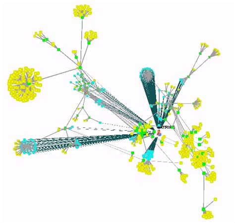 Image result for Code Hierarchy