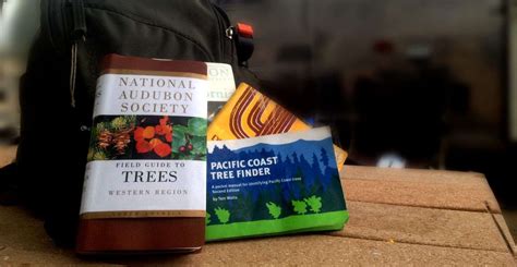 Image result for Tree Identification Guide With