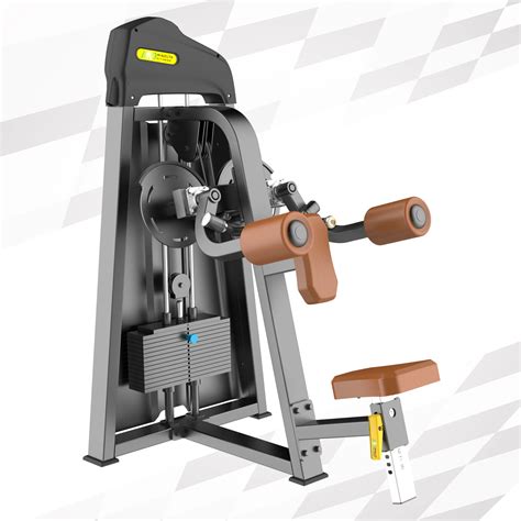 Side Lift with Machine 的图像结果