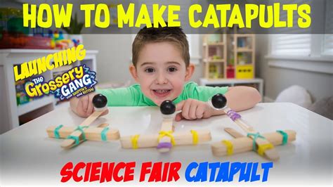 Image result for Catapult Science Project