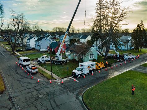 Tree Removal Cost 的图像结果