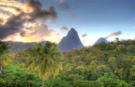 St Lucia facts: learn about this awesome island! | National Geographic Kids