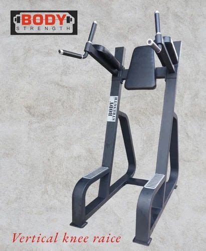 Knee Raise Machine - Vertical Knee Raise Manufacturer from Indore