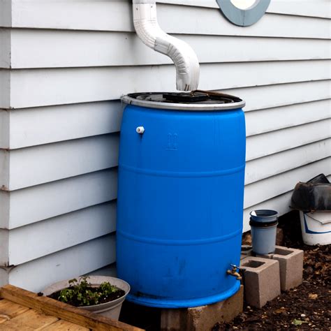 Rain Barrels: How To Collect Rain Water | The Family Handyman