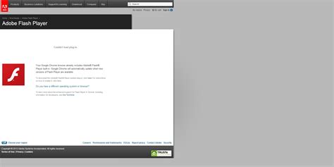 Image result for Flash Player Problem