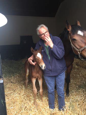 Bronze & Boru (Limerick) - All You Need to Know BEFORE You Go