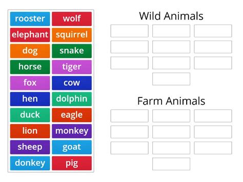 Animals Class 5 的图像结果