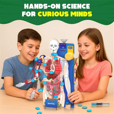 Smartivity Interactive Human Body — Toycra