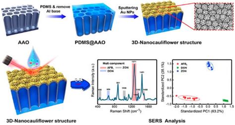 Recent Progress in Nanomaterial-Based Surface-Enhanced Raman ...