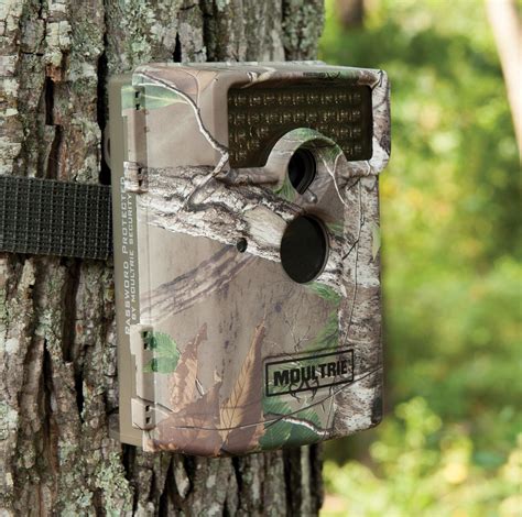 Card Reader Moultrie Game Camera at James Browning blog