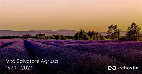 Vito Salvatore Agrusa Obituary (1974 - 2023) | *** Heights, Michigan