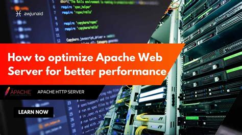 Web Server Performance 的图像结果