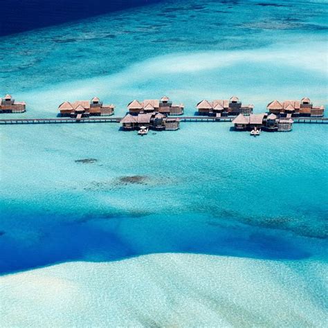 Best Offers On Domestic Air Or Train Packages - Wildlife Tour Packages ...