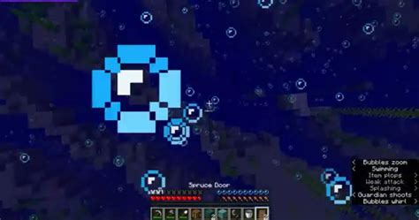 Image result for Ravine Seeds Java