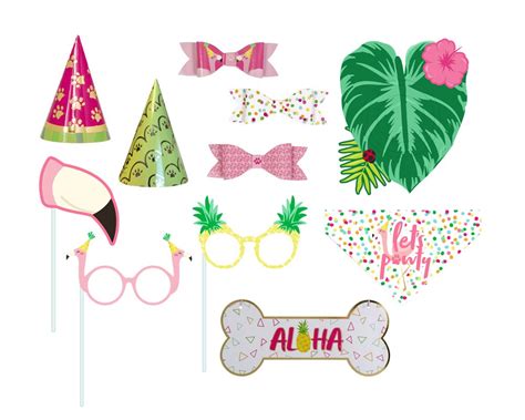 Buy Molly & Bandit Luau Dog Birthday Hat and Photo Booth Props Online ...