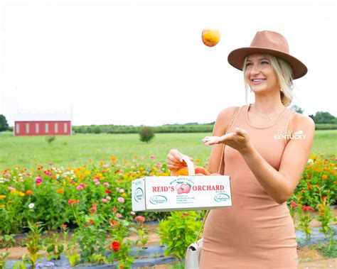 Enjoy Flowers, Sunsets, Food And Music At This Orchard Fest – Visit ...