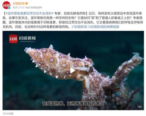 吃火锅竟遇剧毒蓝环章鱼！记者调查：贵阳海鲜市场暂未发现该生物 - 当代先锋网 - 贵州