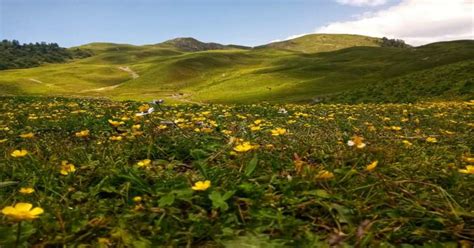 Dayara Bugyal Trek - 4 Days Itinerary | Best Guided Package