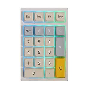 EPOMAKER TH21 21 Keys Hot Swappable Wired Numpad with RGB Backlight ...