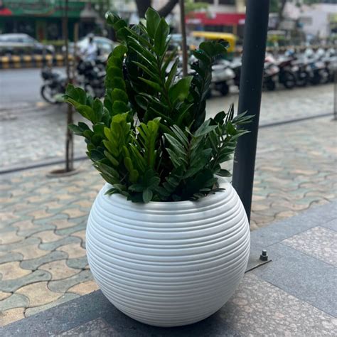 Jupiter Big – Gardencia Technology