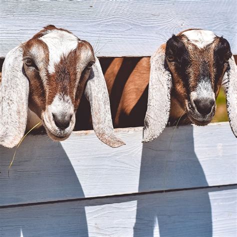 тестовая статья для бложика :3 — Teletype