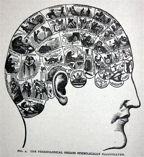 Useful Knowledge 的图像结果