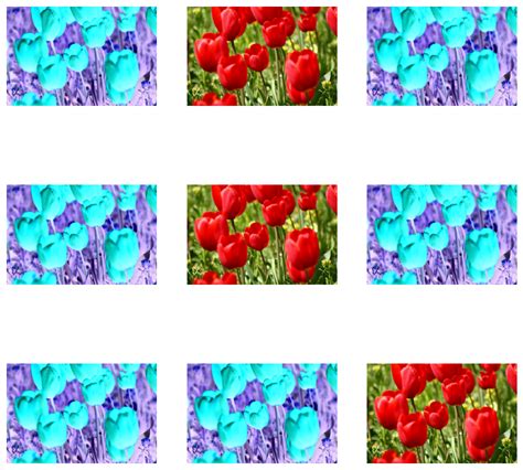 Image result for Data Augmentation Tensorflow