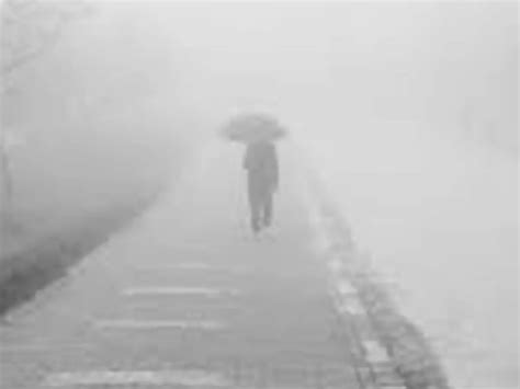 Delhi Engulfed In Thick Fog, Flights Diverted; Pollution Level Breaches ...