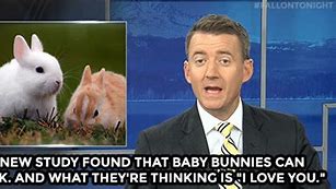 Image result for Cute Baby Bunnies Kissing