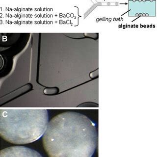 Image result for Over Encapsulation Procedure