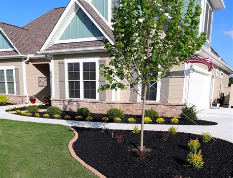 Rubber Mulch In Florida at Dorathy Quinones blog