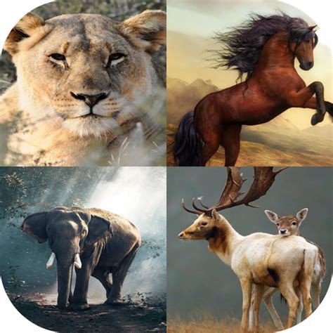 Animal Wallpapers 的图像结果