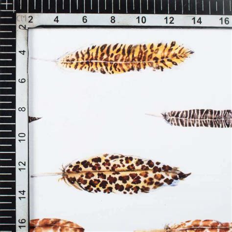 White And Yellow Animal Pattern Digital Print Crepe Fabric – Fabcurate