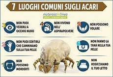 acari da materasso materassi antiacaro certificati guida ai prezzi 2018 acari da materasso materassi antiacaro certificati guida ai prezzi 2018