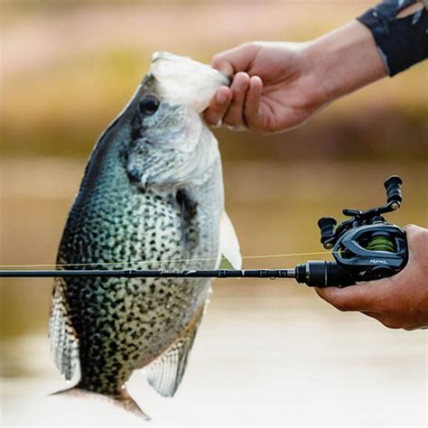 Shop Fishing Rod Online In India – PetzLifeWorld