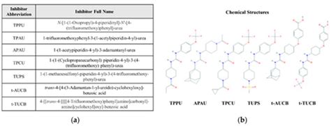Soluble Epoxide Hydrolase Inhibition in Liver Diseases: A Review of ...