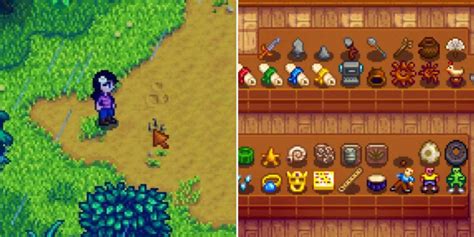 How To Get The Pearl In Stardew Valley