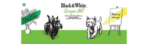 Black & White Ginger Ale Non alcoholic Infused with Natural Flavored ...