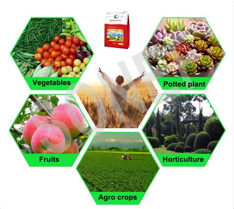 Chine La fonte de la pulvérisation de granulation par voie d'engrais ...