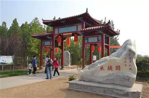 晋州市旅游景点：周家庄采摘观光园