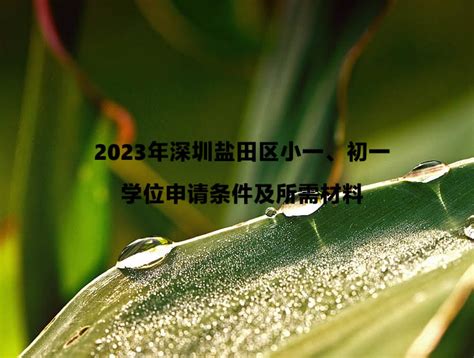 2023年深圳盐田区小一、初一学位申请条件及所需材料_小升初网