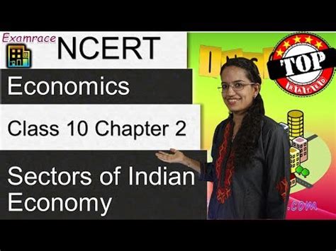 Sectors of Indian Economy Video Lecture - NCERT Video Summary: Class 6 ...