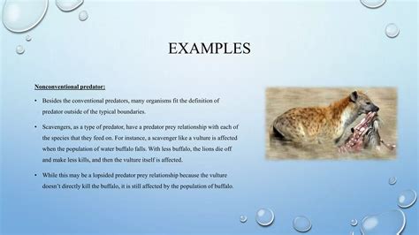 predator and prey relationship.pptx
