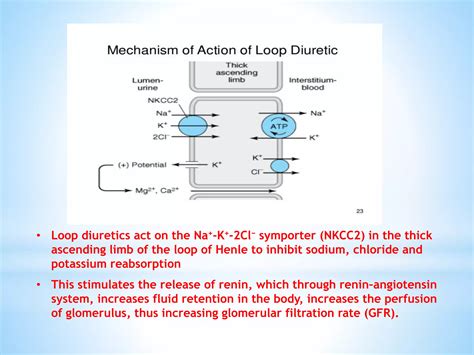 Diuretics-Mechanism of action,Diuretic Types and Adverse effects,Drug specifications | PPTX