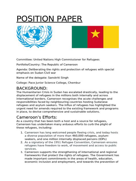 Image result for Model UN Paper Examples