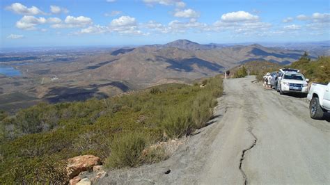 Otay Mountain Truck Trail - Summer Rares at the Border — San Diego Chapter