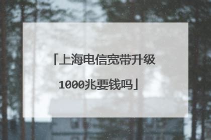 上海电信宽带老用户免费升级(2022上海电信免费升级1000兆宽带)_在线网速测试
