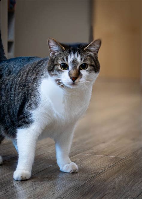 Image result for Library Employees